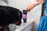 Animology Flea Tick Yavru ve Yetişkin Köpek Şampuanı 250 Ml