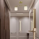 Apliqa Kavis 2'li Sıralı Eskitme Modern Genç Odası Mutfak Salon Avize
