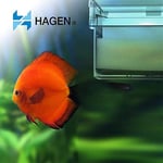 AquaClear 70 Köpük