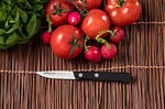 Arcos 280104 Serisi Evrensel - Soyma Bıçağı - Bıçak Nitrum Paslanmaz Çelik 75 mm - El Sapı Polioksimetilen (POM) Renk Siyah, 24.892 x 12.192 x 6.7056 cm