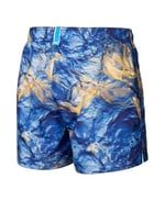 arena Men's Arena Water Prints Beach Short Ao Swim Trunks Erkekler