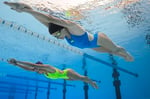 ARENA Team Swimsuit Swim Tech Solid Kadın Sarı Yüzücü Mayosu 004763688