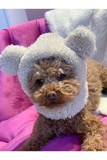 Aria Pet Boutique Köpek Peluş Bere 03 (X-Small)