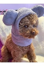 Aria Pet Boutique Köpek Peluş Bere 05 (X-Small) - Seçenekler: X-Small, Small, Medium, Large
