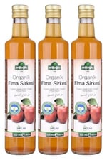 Arifoğlu Organik Elma Sirkesi 500Ml (2 Adet)