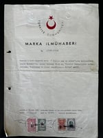 Arkök Erken Hasat Zeytinyağı - Edremit Natürel Sızma - Soğuk Sıkım- 2 Lt - 200+ Polifenol, Tek Zeytinlikten Sınırlı Sayıda Üretim