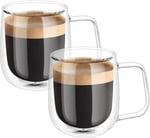 ARVALE Çift Cidarlı Cam Kupa Ev Ofis Fincanı Çift Katlı Isı Yalıtımlı Kulplu Cam Bardak (2 Adet Helsinki 250 ml)