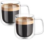 ARVALE Çift Cidarlı Cam Kupa Ev Ofis Fincanı Çift Katlı Isı Yalıtımlı Kulplu Cam Bardak (2 Adet Helsinki 250 ml)
