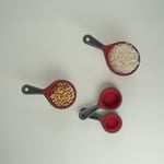 Aryıldız Dailytools 4 Parça Ölçme Kaşık Seti