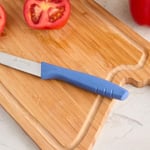 Aryıldız Primo Domates Bıçağı İndigo 10 cm