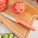 Aryıldız Primo Domates Bıçağı Somon 10 cm