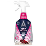 Astonish Vegan Halı, Koltuk & Döşeme Temizleyici 7