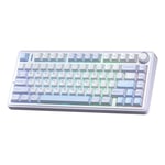 Aula F75 Mekanik RGB TKL Gray Switch Kablosuz Makrolu Hot Swap Klavye Buz Mavisi