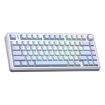 Aula F75 Mekanik RGB TKL Gray Switch Kablosuz Makrolu Hot Swap Klavye Buz Mavisi