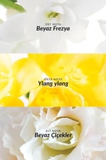 Avon Pur Blanca Kadın Roll On 50 Ml. - Seçenekler: Tekli, İkili, Üçlü