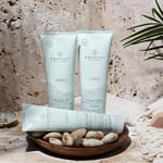 Awapuhi Wild Ginger Paul Mitchell Awg Intensive Treatment Yoğun Haftalik Bakim 150 Ml