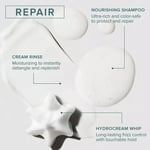 Awapuhi Wild Ginger Paul Mitchell Awg Repair Cream Rinse Bakim Kremi 250 Ml