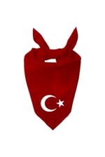Ayyıldız Tek Renk Fular