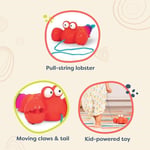 B. BToys BTOYS-BX1644Z İlkyaş Oyuncakları, Çok Renkli