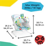 Baby Einstein Ocean Explorers Müzikal Zıpzıp Yenidoğan Koltuğu, Kick To It Neptune, Üniseks, 0-6 Ay, 9 Kg’a Kadar
