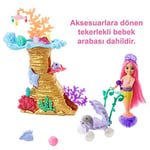 Barbie Deniz Hayvanları Oyun Seti, 3 yaş ve üzeri, HHG58