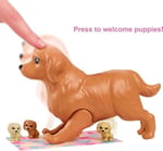 Barbie ve Hayvan Dostları Barbie ve Hayvan Dostları Oyun Seti, köpek, 3 yavru köpek ve aksesuarlar, 3-7 yaş HCK75