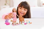 Barbie ve Hayvan Dostları Barbie ve Hayvan Dostları Oyun Seti, köpek, 3 yavru köpek ve aksesuarlar, 3-7 yaş HCK75