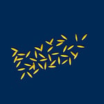 Barilla Arpa Şehriye (Risoni) 500 Gr 2li paket