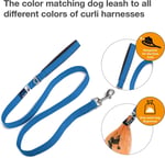 Basic Leash Blue M - Bedenler: L (2 paketi), M, L