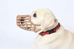 Baskerville köpekler için zehirli yem ağızlığı, boyut 7, köpekler nefes alabilir ve içebilir, atıklara göz atmaz, ısırma koruması, dolgulu burun kayışı, uzun burunlu büyük köpekler için ideal