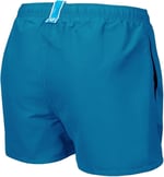 Beach Logo R Çocuk Mavi Deniz Şortu 006446830
