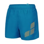 Beach Logo R Çocuk Mavi Deniz Şortu 006446830