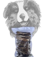 Beef Lung Stick - 250 gr Dana Akciğer Avantaj Paketi Köpek Ödül Maması