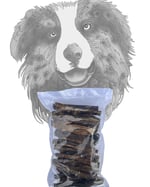 Beef Lung Stick - 250 gr Dana Akciğer Avantaj Paketi Köpek Ödül Maması