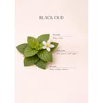Bella Maison Black Oud Ahşap Fitilli Soy Wax Mum Antrasit