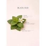 Bella Maison Black Oud Çubuklu Oda Kokusu Siyah (250 Ml) Siyah