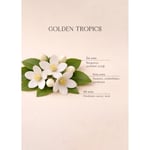 Bella Maison Golden Tropics Çubuklu Oda Kokusu Yeşil (100 Ml) Yeşil