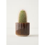 Bella Maison Lavea Seramik Saksı Gri (13x13x12 Cm) Gri