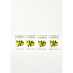 Bella Maison Lemoncello 4'lü Meşrubat Bardağı Sarı (510 Cc)