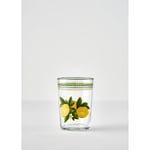Bella Maison Lemoncello 4'lü Meşrubat Bardağı Sarı (510 Cc)