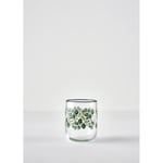 Bella Maison Ocaliptus Meşrubat Bardağı 4'lü Yeşil (280 Ml)