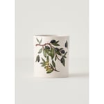 Bella Maison Olive Dik Kaşıklık (11,5x12,5 Cm) Çok Renkli