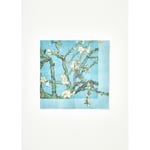 Bella Maison Van Gogh Almond Blossom 20'li Kağıt Peçete Turkuaz (33x33 Cm) Çok Renkli