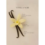 Bella Maison Vanilla Noir Oda Spreyi Siyah (500 Ml) Siyah