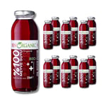 BenOrganic Kırmızı Meyveler Karışık 250 ml Cam Şişe
