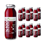 BenOrganic Kırmızı Meyveler Karışık 250 ml Cam Şişe