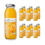 BenOrganic Portakal Suyu 250 ml Cam Şişe