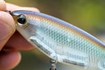 Berkley Crankbait Sert Balıkçılık Yemleri
