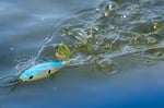 Berkley Crankbait Sert Balıkçılık Yemleri