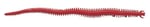 Berkley Gulp Saltwater Sandworm Sahte Kurt - Bedenler: 2 inches, 5 cm, 5CM-24LU, 15 cm, 15,2 cm